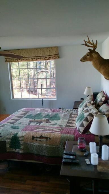 Rustic Quaint Cabin In The Woods--Pets Welcomed Dunnsville Eksteriør bilde